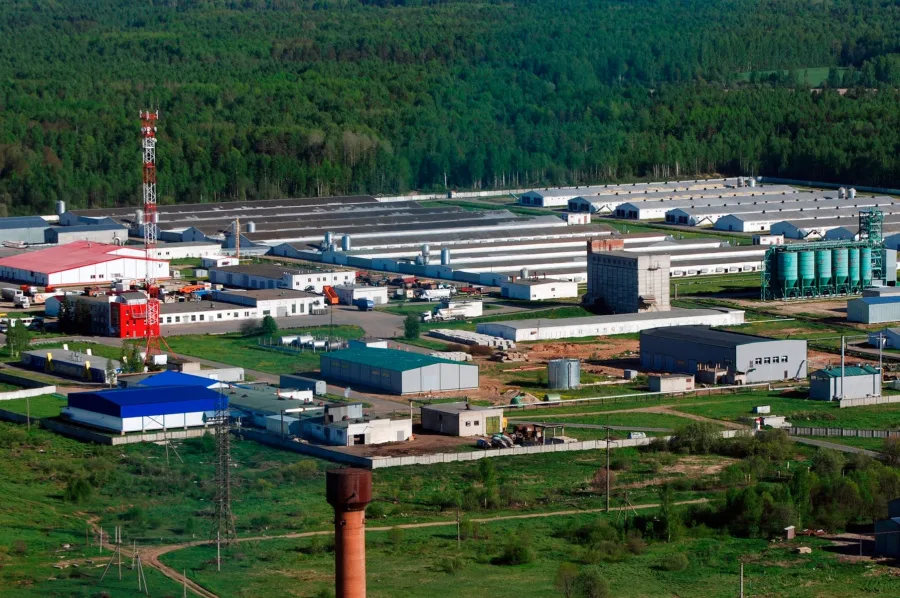 Комплекс зданий птицефабрики, 9371 м² площадью 9371 м2
