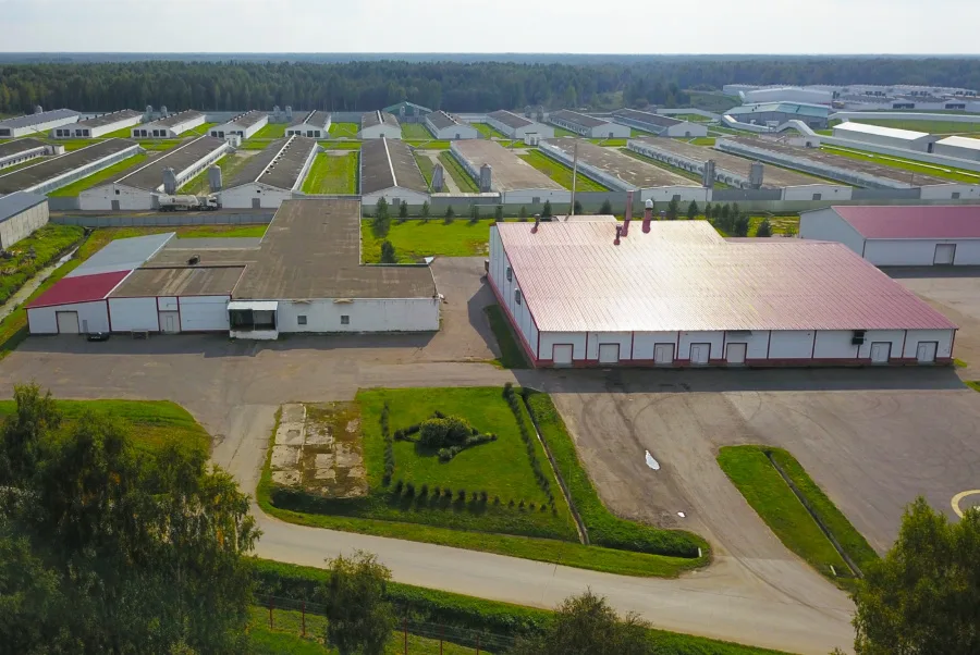Комплекс зданий птицефабрики, 9371 м² площадью 9371 м2