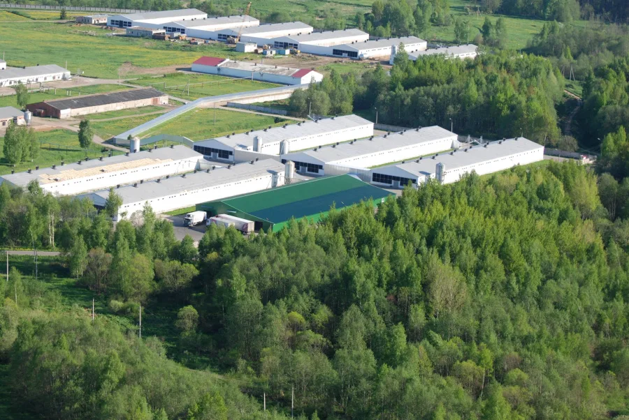 Комплекс зданий птицефабрики, 9371 м² площадью 9371 м2